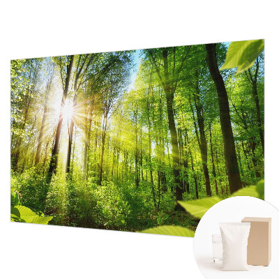 Papier peint panoramique haut de gamme avec le motif 