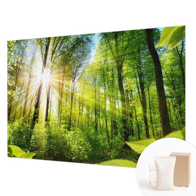 Papier peint panoramique haut de gamme avec le motif 