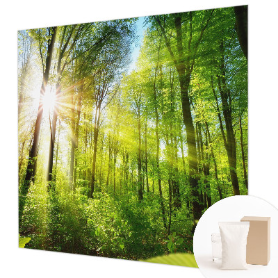 Papier peint panoramique haut de gamme avec le motif 