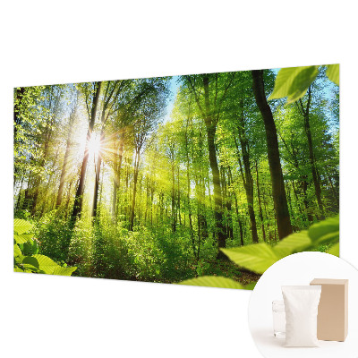 Papier peint panoramique haut de gamme avec le motif 
