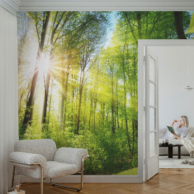 Papier peint panoramique haut de gamme Lesné svetlo