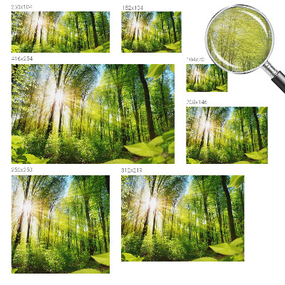 Papier peint panoramique haut de gamme avec le motif 