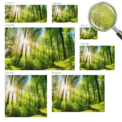 Papier peint photo sur tissu non tissé Lumière de forêt