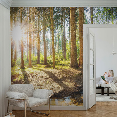 Papier peint panoramique facile à poser Lesná idylka