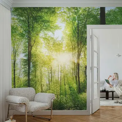 Papier peint intissé Harmonie forestière