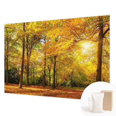 Papier peint photo Zlaté listy
