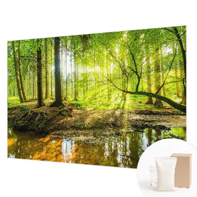 Papier peint photo imprimé sur tissu non tissé paysage vert