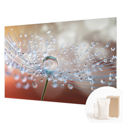Papier peint panoramique moderne avec un motif de goutte sur pissenlit