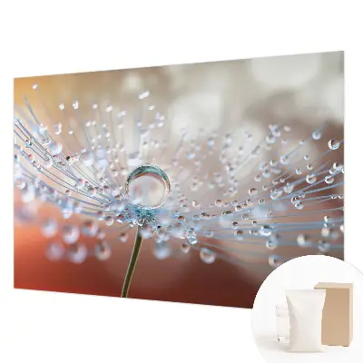 Papier peint photo sur tissu non tissé Une goutte sur un pissenlit