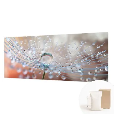 Papier peint photo sur tissu non tissé Une goutte sur un pissenlit