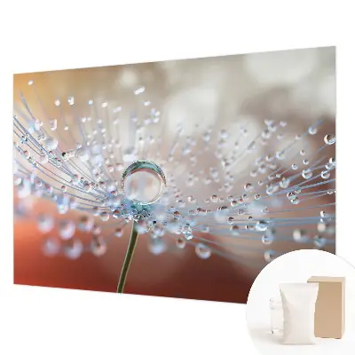 Papier peint photo sur tissu non tissé Une goutte sur un pissenlit