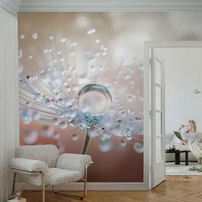 Papier peint photo sur tissu non tissé Une goutte sur un pissenlit