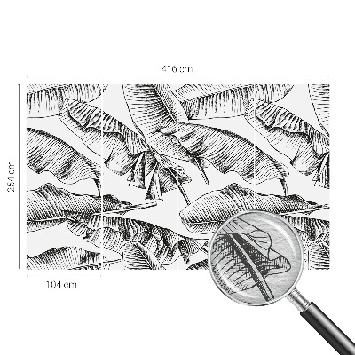 Papier peint photo Banánové listy