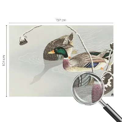 Papier peint photo sur tissu non tissé Canards calmes