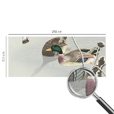 Papier peint photo sur tissu non tissé Canards calmes