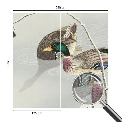 Papier peint photographique salon avec un motif de canards paisibles
