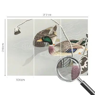 Papier peint photo sur tissu non tissé Canards calmes