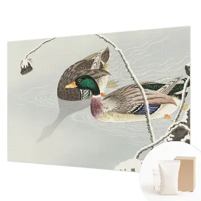 Papier peint photo sur tissu non tissé Canards calmes