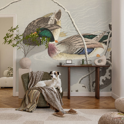 Papier peint photographique salon Pokojné kačky