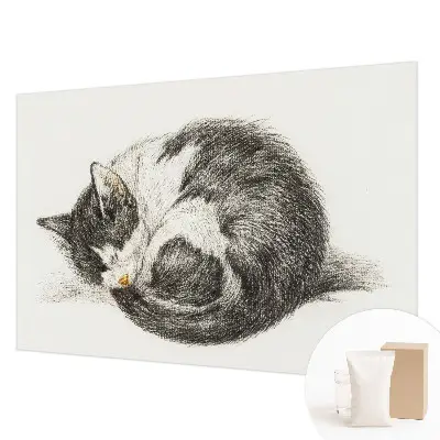 Papier peint photo sur tissu non tissé adorable chaton