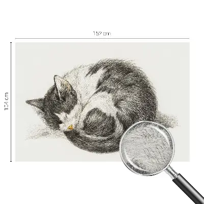 Papier peint photo sur tissu non tissé adorable chaton