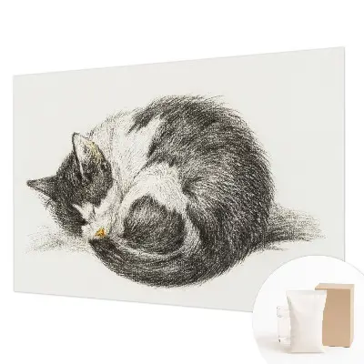Papier peint photo sur tissu non tissé adorable chaton