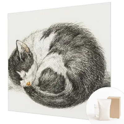 Papier peint photo sur tissu non tissé adorable chaton