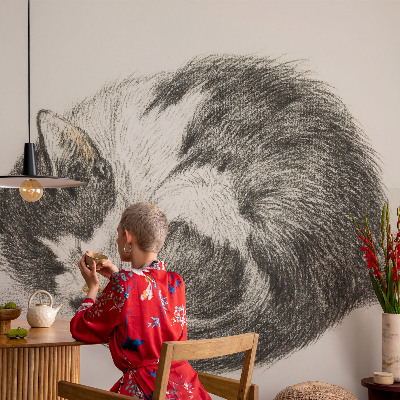 Papier peint panoramique enfant Rozkošná mačička