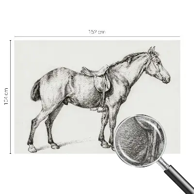 Papier peint photographique intissé Croquis d'un cheval