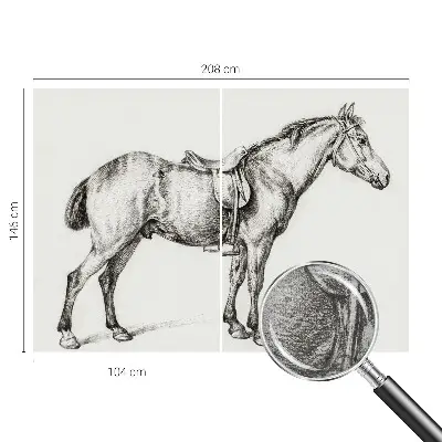 Papier peint photographique intissé Croquis d'un cheval