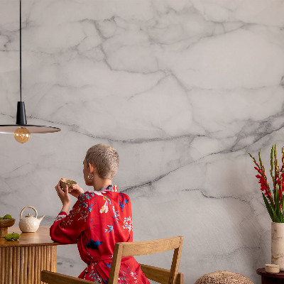 Papier peint photographique salon Mramorová elegancia