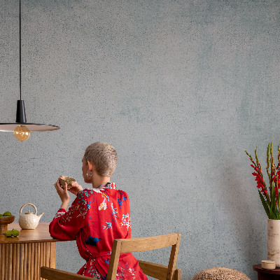 Décoration murale panoramique intissé Sivý betón