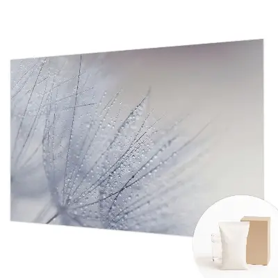 Papier peint intissé pissenlit couvert de rosée