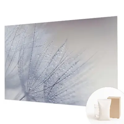 Papier peint intissé pissenlit couvert de rosée