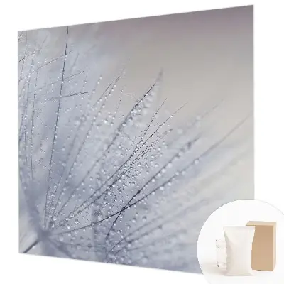 Papier peint intissé pissenlit couvert de rosée