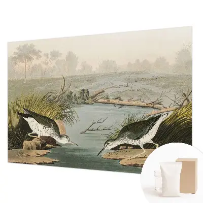 Papier peint intissé imprimé Un paysage paisible