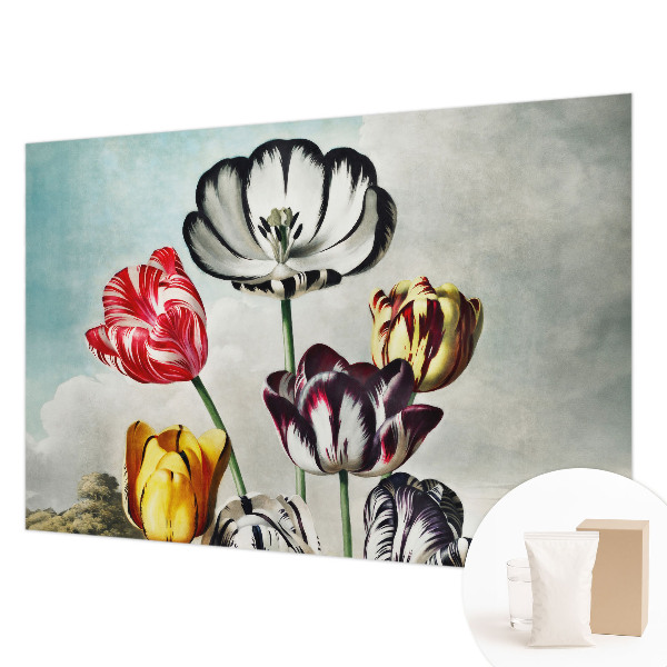 Papier peint panoramique moderne à motif de tulipes colorées