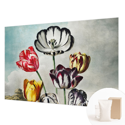 Papier peint panoramique moderne à motif de tulipes colorées
