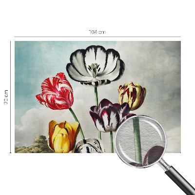 Papier peint panoramique moderne Farebné tulipány