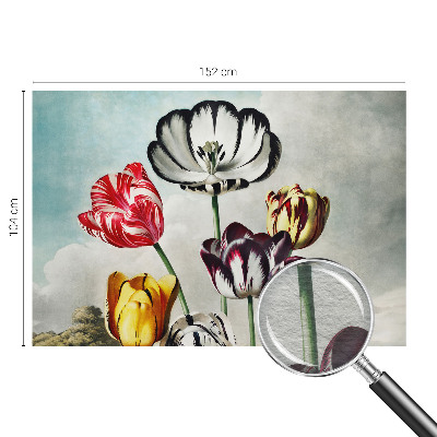 Papier peint panoramique moderne Farebné tulipány