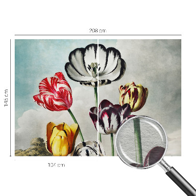 Papier peint panoramique moderne Farebné tulipány