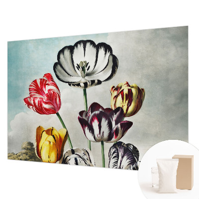 Papier peint panoramique moderne Farebné tulipány