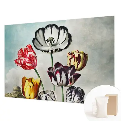 Papier peint intissé Tulipes colorées