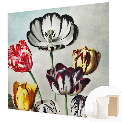 Papier peint panoramique moderne Farebné tulipány