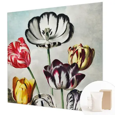 Papier peint intissé Tulipes colorées