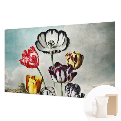 Papier peint panoramique moderne Farebné tulipány