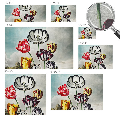 Papier peint panoramique moderne Farebné tulipány