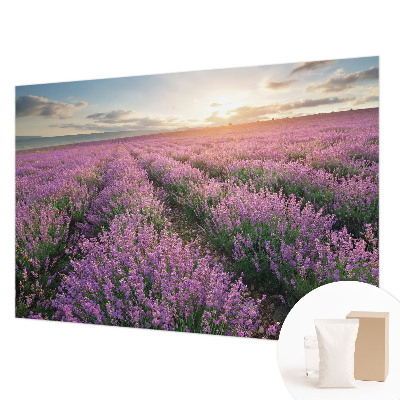 Papier peint panoramique intissé avec motif de champs de lavande