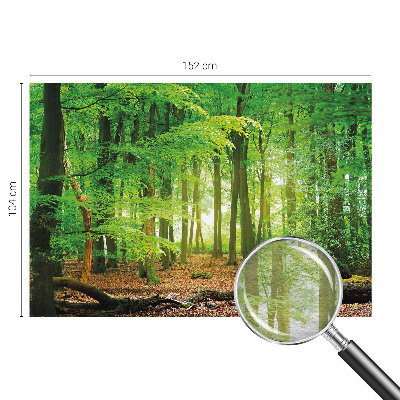 Papier peint panoramique sur mesure Zelený les