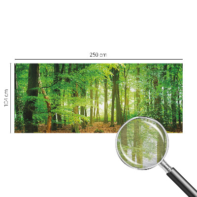 Papier peint panoramique sur mesure Zelený les